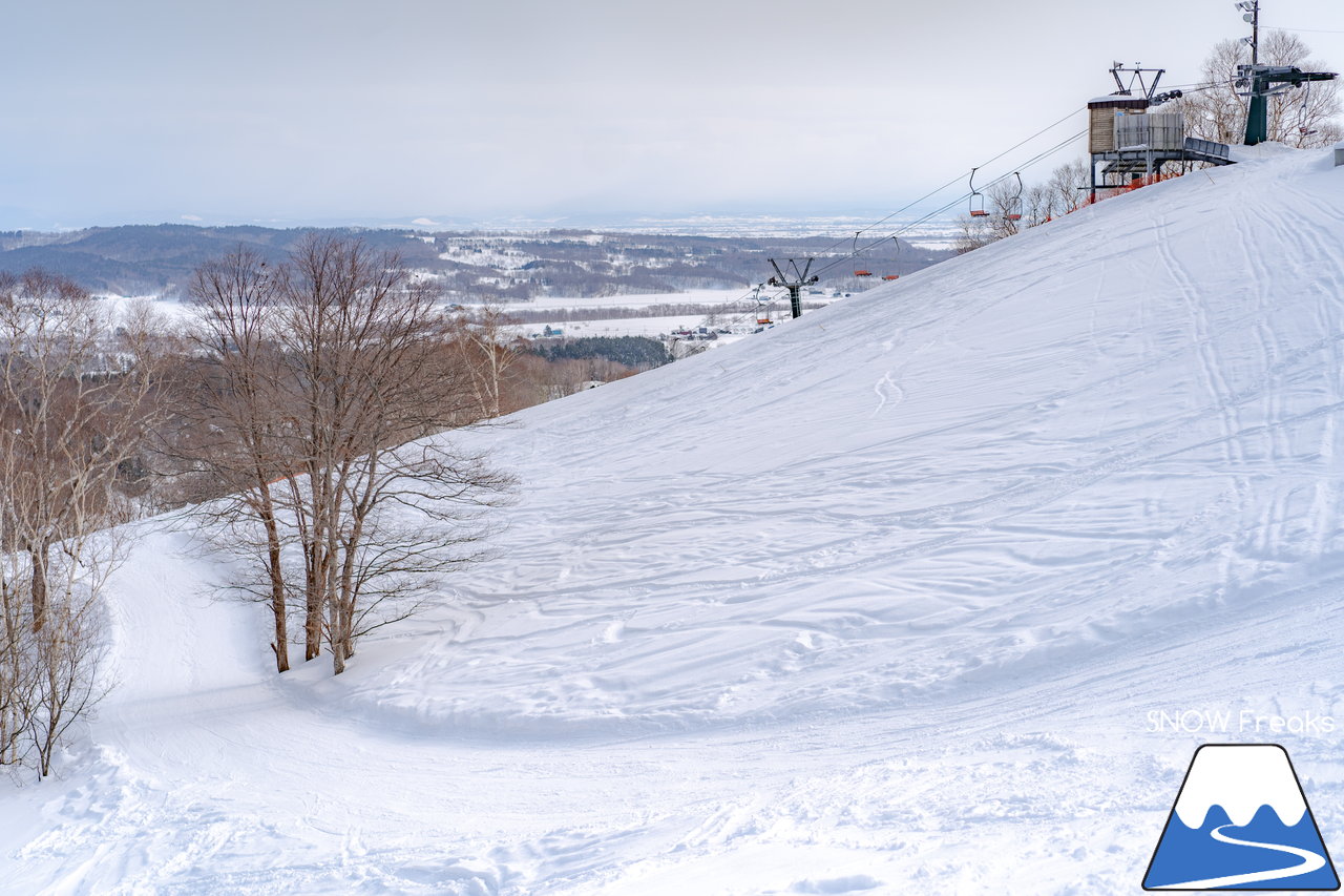 石狩平原スキー場｜今冬は豪雪の当別町。びっくりするほど積雪たっぷりのローカルゲレンデへ！